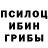 Псилоцибиновые грибы Psilocybe POO CRAYON