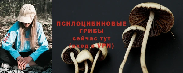 гидра Беломорск