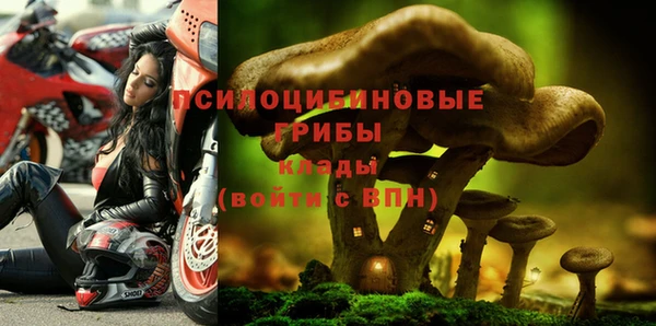 гидра Беломорск