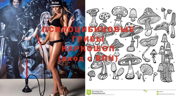 гидра Беломорск